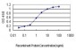 PSMB2 Antibody (monoclonal) (M02)